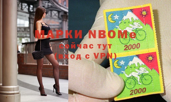крисы Алзамай